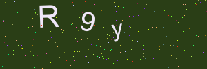 Validation image