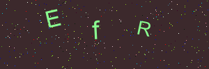 Validation image